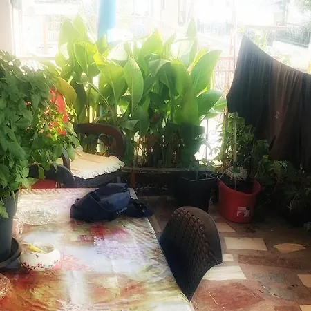 Kalyves Apartment *